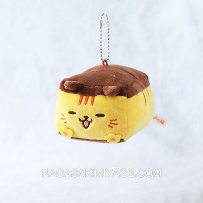 画像1: 長崎尾曲がりカスとら猫