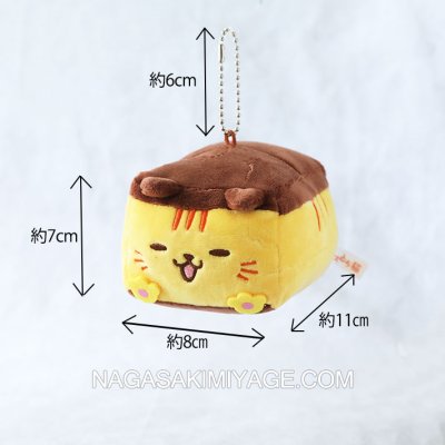 画像3: 長崎尾曲がりカスとら猫